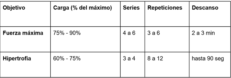 Mundo fitnees. Mundo fitnees. 