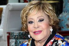 A pesar de que Silvia Pinal se encuentra estable de salud, sus hijos están comenzando a hablar sobre el reparto de la herencia que les tocará a cada uno.