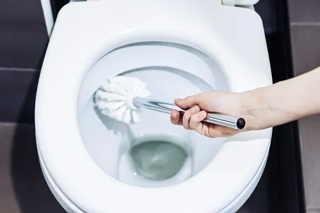 El truco sencillo y económico para mantener las bacterias a raya. El truco sencillo y económico para mantener las bacterias a raya.
