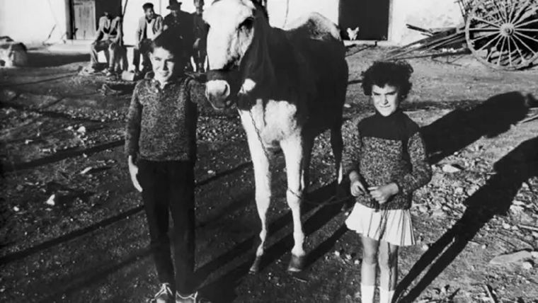 En 1966, cuatro ojivas nucleares cayeron sobre la población de Palomares, y aunque no detonaron, dejaron grandes daños Foto: BBC