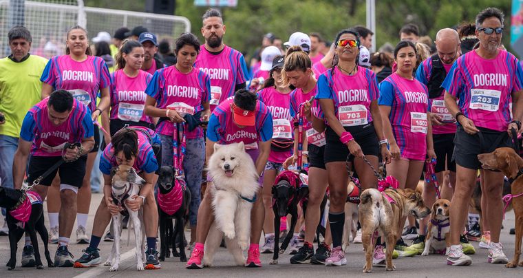 Se viene la 14ª edición de DOGRUN.
