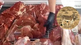 Así se vende la carne de burro en una carnicería de Trelew, Chubut. Así se vende la carne de burro en una carnicería de Trelew, Chubut.