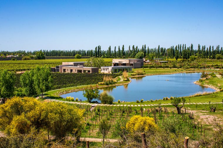 Durigutti Family Winemakes volvió a ser la mejor bodega argentina en el listado de The Worlds Best Vineyards 2025.&nbsp;