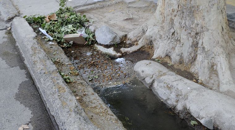 Foto: Alf Ponce / MDZ