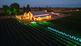 La Fiesta del Flor de la Vid será en la Bodega Iaccarini. La Fiesta del Flor de la Vid será en la Bodega Iaccarini.