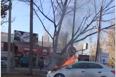 Foto: Gonzalo Santo Tomás.