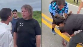 El diputado libertario fue atacado en su recorrida en Tucumán