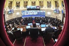es ley: el aborto es legal en argentina luego de una historica sesion del senado