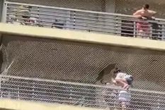 El niño fue rescatado por dos transportistas de cerveza Foto: Captura de video