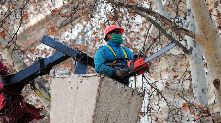 Foto: ALF PONCE MERCADO / MDZ