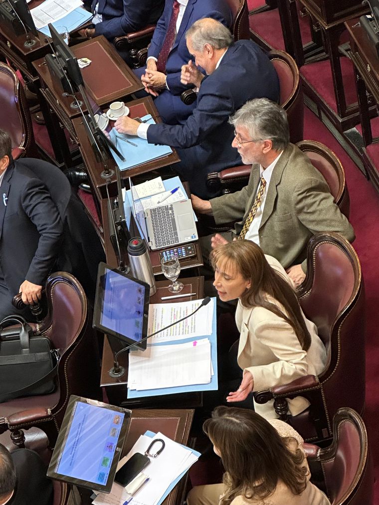 Cristina López, senadora de Tierra del Fuego, le gritó Cristina López, senadora de Tierra del Fuego, le gritó