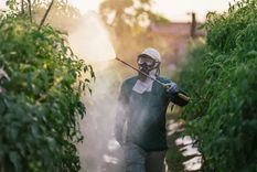 Getty Images Foto: Getty Images