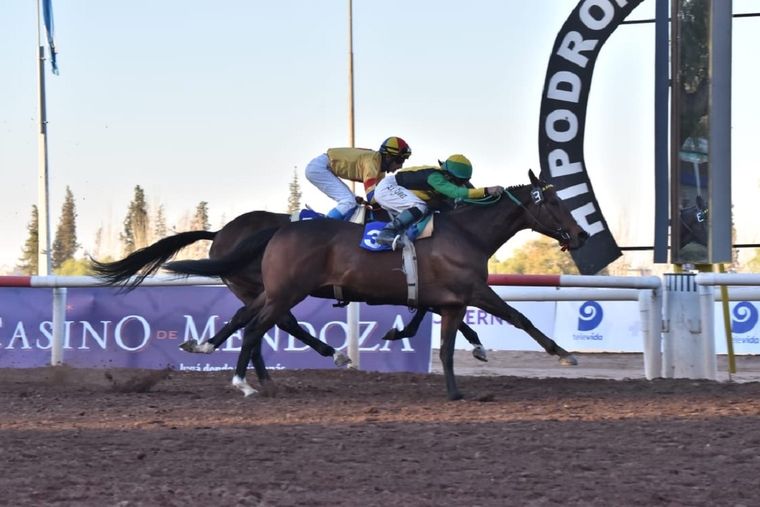 Dom Mirsilo (verde y negro) estará en una de las cuadreras del domingo en Mendoza. Foto: Fernando Gabrielli