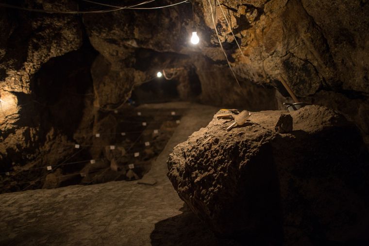 El descubrimiento en la Cueva Skhul podría cambiar lo que se sabía sobre el origen humano.