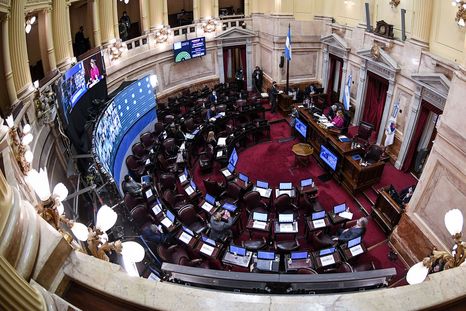 El Senado intentará avanzar con financiamiento universitario y Hospital Garrahan. El Senado intentará avanzar con financiamiento universitario y Hospital Garrahan.