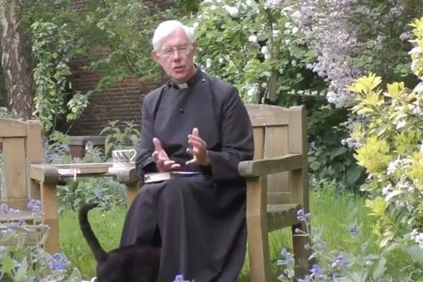 ¿WTF?: Un gato desaparece bajo la sotana de un cura en pleno sermón