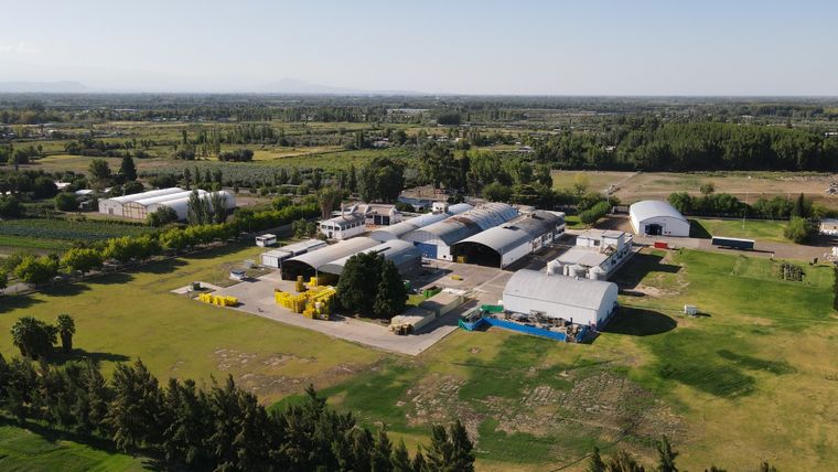 La planta de Knorr ubicada en Guaymallén, Mendoza Foto: Gentileza Unilever