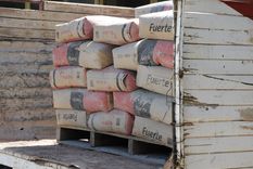 Foto: Alf Ponce / MDZ