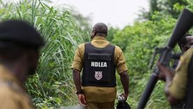 Agentes antinarcóticos inspeccionan el lugar donde se sospecha que se encuentra un laboratorio ilegal de drogas en una zona densamente boscosa del oeste de Nigeria. Agentes antinarcóticos inspeccionan el lugar donde se sospecha que se encuentra un laboratorio ilegal de drogas en una zona densamente boscosa del oeste de Nigeria.