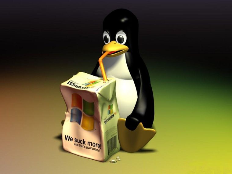 479093.jpg