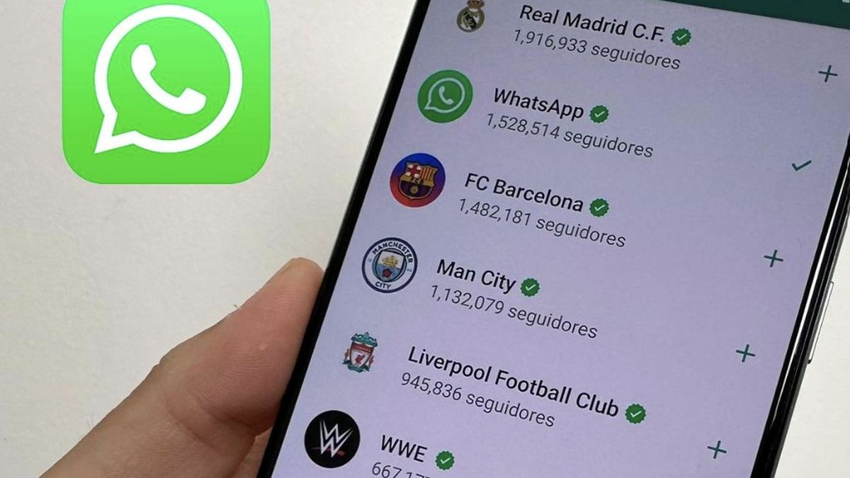 WhatsApp modo Mundial: la nueva función para seguir partidos y selecciones