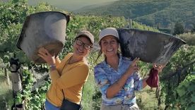 Una propuesta imperdible de Mujeres de la Viña. Una propuesta imperdible de Mujeres de la Viña.