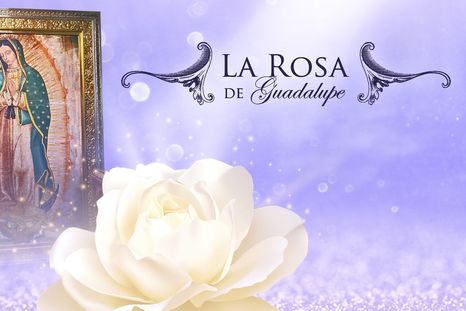 La Rosa de Guadalupe