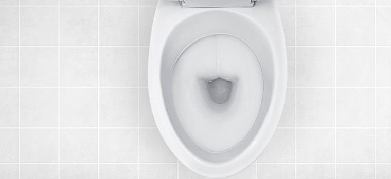 La mezcla de ingredientes ideal para blanquear el inodoro en pocos pasos. Foto: Shutterstock La mezcla de ingredientes ideal para blanquear el inodoro en pocos pasos. Foto: Shutterstock