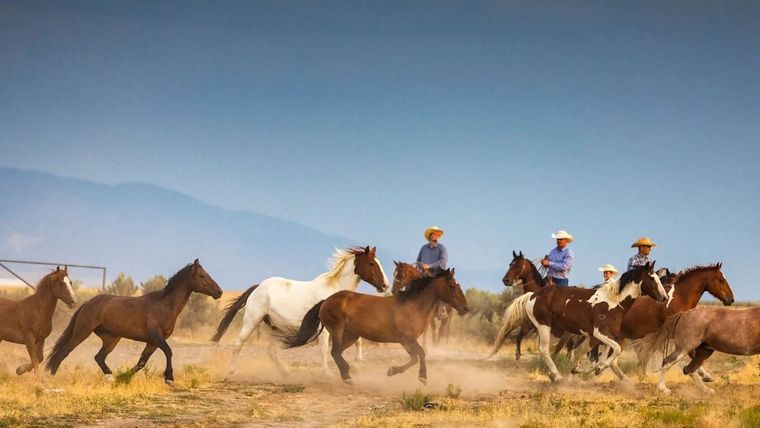 Para experimentar la vida en un entorno vaquero no hace falta viajar a Estados Unidos. Foto: BBC