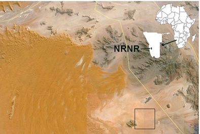 MDZol | Región donde se encuentran las figuras.