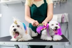 Existen tips muy sencillos que puedes poner en práctica Foto: Shutterstock