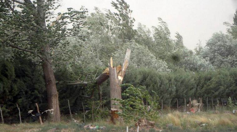 Foto: Gustavo Yañez