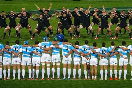 los pumas no son solo garra, corazon y huevos los pumas no son solo garra, corazon y huevos