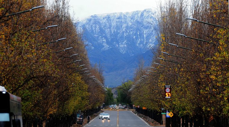 Foto: ALF PONCE MERCADO / MDZ