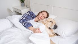 Por qué no es recomendable dormir con el perro, según un adiestrador. Foto: Shutterstock