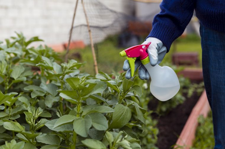 La solución ideal para el jardín. Fuente: Freepik.