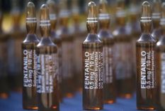 La Justicia Federal busca localizar tres lotes determinado que fueron enviados a distintas provincias: 31202, 31244 y 31200. Foto: NA