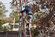 Foto: ALF PONCE MERCADO / MDZ