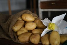 Durante la Fiesta Nacional de la Papa se habló de expectativas positivas, pero también se alertó sobre la rentabilidad y la sustentabilidad de la actividad.