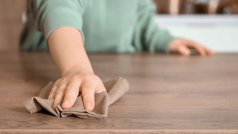 Las empleadas domésticas y la actualización de mayo.