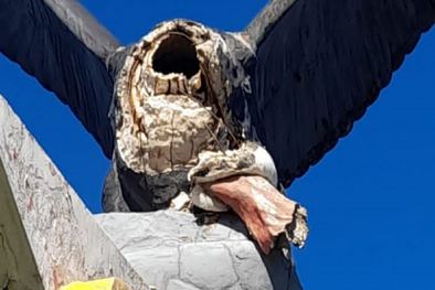 MDZol | El cóndor del Acceso Este es un patrimonio de los mendocinos. La fuerte caída de granizó provocó la caída de su cabeza Foto: Gobierno de Mendoza