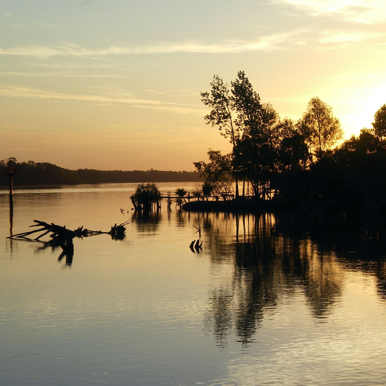 Entre industrias y humedales, Campana abre la puerta al Parque Nacional Ciervos de los Pantanos y al encanto del Delta del Paraná. Entre industrias y humedales, Campana abre la puerta al Parque Nacional Ciervos de los Pantanos y al encanto del Delta del Paraná.