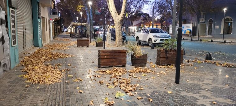 En pleno centro, las ráfagas levantaron hojas y se hicieron sentir con fuerza en distintas calles de la Ciudad.&nbsp;