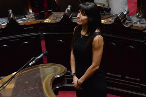 La UCR designa a Pamela Verasay al frente de su bloque en el Congreso Nacional.