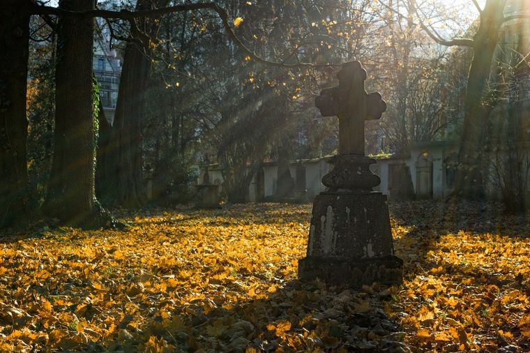 Sueños Conoce el significado de soñar con un cementerio Foto: Pexels