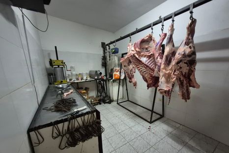 Inspectores municipales detectaron graves infracciones en carnicerías de Godoy Cruz. Inspectores municipales detectaron graves infracciones en carnicerías de Godoy Cruz.