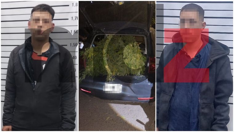 Los dos detenidos y el inmenso ejemplar de cannabis incautado por los efectivos de la UEP Las Heras. Foto: MDZ.