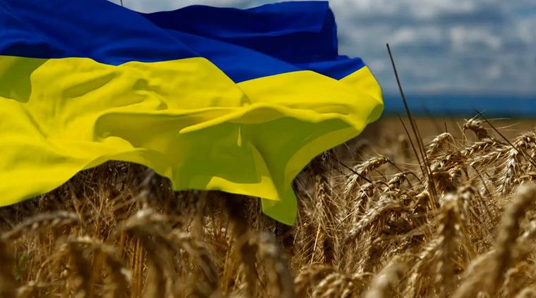 El trigo es exportación esencial de Ucrania. Foto: ElCeo.
