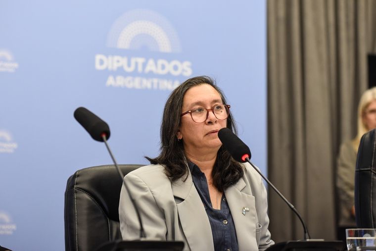 Karina Engelbert volvió a la Argentina. Foto: Prensa Diputados