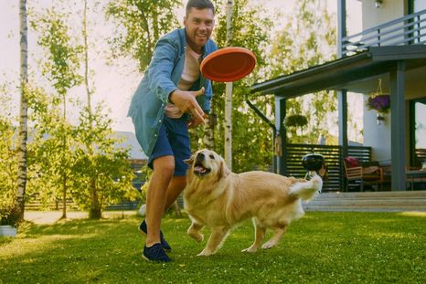 El estudio muestra que pequeños hábitos diarios pueden sumar años de bienestar en la vida de los perros.Foto: Shutterstock